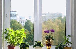 Свежий воздух для цветов – сквозняк или проветривание?