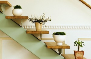 Ленивым на заметку – неприхотливые зимние растения