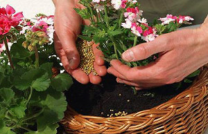 Подкормки длительного действия для зимы