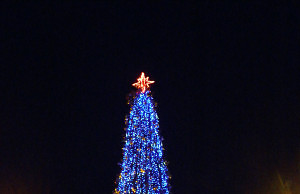 Открыта городская елка