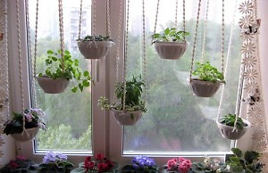 Подставки для комнатных растений и их важность