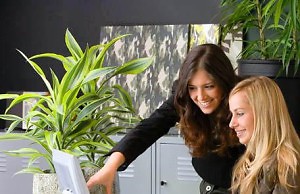 Некоторые приемы озеленения офисов