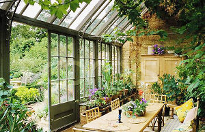 Зимний сад – для настоящих любителей цветов