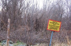 Горсовет внес изменения в экологическую программу