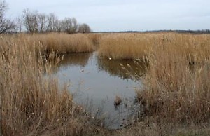 У реки найдены боеприпасы