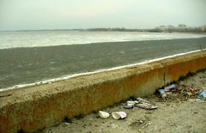 Зоны отдыха и памятники обещают привести в порядок