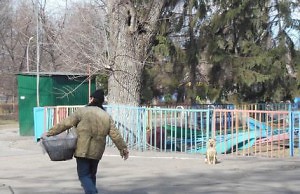 Городской парк почти убрали