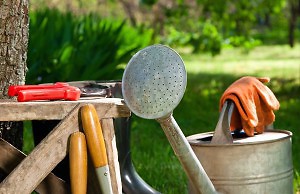 Май – работы в саду и на огороде