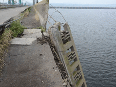 Горожан пугает аварийное состояние мостов