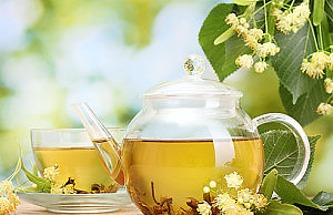 Липа – польза дерева в вашем саду