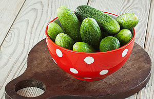 Красивые огурцы – как их вырастить на огороде