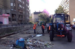 В столице под МАФами обнаружили целую армию крыс