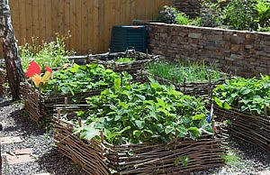 Декоративный мини-огород на даче