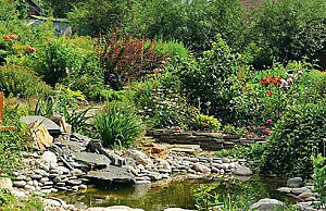 Как просто сделать мини-пруд на даче