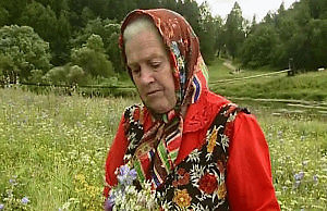 Не хотите болеть — накопайте себе корней лопуха, пырея и одуванчика