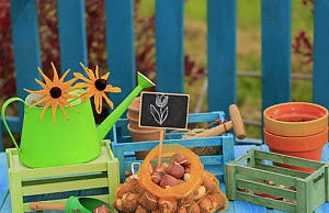 Посадка луковичных по лунному календарю