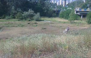 Футбольное поле привели в порядок