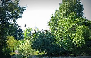 Депутат облсовета Захорольский незаконно застраивает берег Днепра