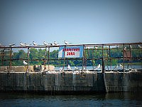 Дом строительство берег Олега Захорольского