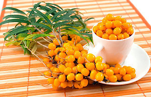 Облепиха – готовим урожай к употреблению