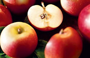 Преимущества посадки яблони под зиму