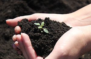 Послесезонное восстановление почвы