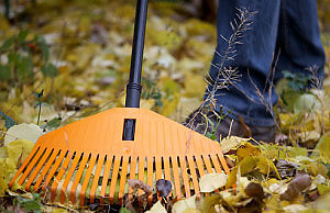 Что нужно успеть в саду в октябре?