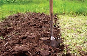 Обработка почвы перед зимой