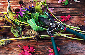 Особенности хранения садового инструмента зимой