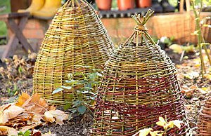 Оригинальные укрытия для растений на зиму