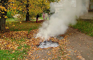 Сжигать листья опасно для здоровья и накладно для кармана