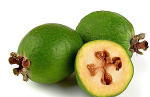 Фейхоа – используем плоды растения