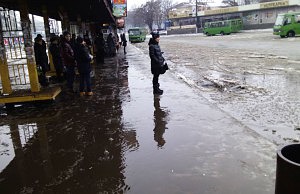 Люди не верят в честность проверки общественного транспорта