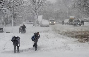 В школах и садиках объявлены каникулы