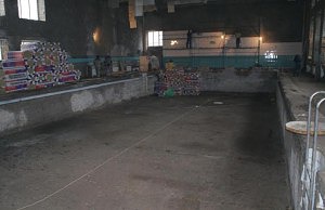 Кто нажился на ремонте бассейна