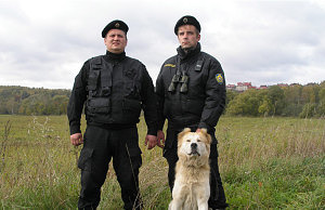 Кто и за сколько будет охранять кладбища и общежития