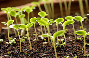 Подготовка к весеннему сезону