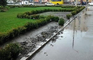 Воровство дошло до абсурда. Крадут кусты у мэрии