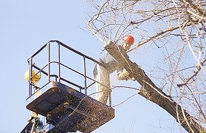 Соцгород начали приводить в порядок