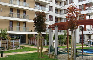 Депутаты неохотно обсуждали создание ОСББ