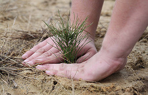 Коммунальщики работают на благо депутата?