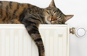 Чиновники обсуждали реконструкцию систем теплоснабжения на поселке Строителей