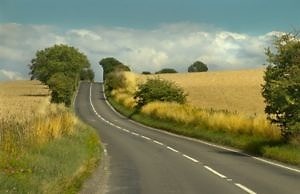 Горсовет потратит 3 тысячи гривен за квадратный метр разметки