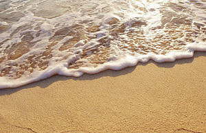 Пляж на Левом берегу может открыться уже в середине июня