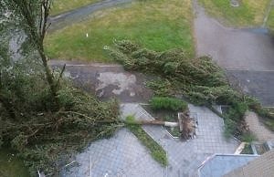 Впервые в городе начали оперативно устранять последствия урагана