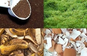 Эффективные органические удобрения своими руками