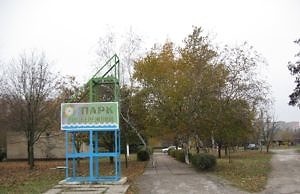 Почему власти забыли о левобережном парке