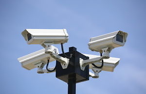 Товарищ депутата Пучкина снова «освоил» бюджетные миллионы