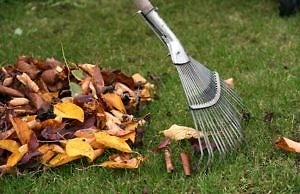 Стартовал месячник по уборке осенней листвы