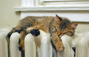 Дата начала отопительного сезона в Каменском определена